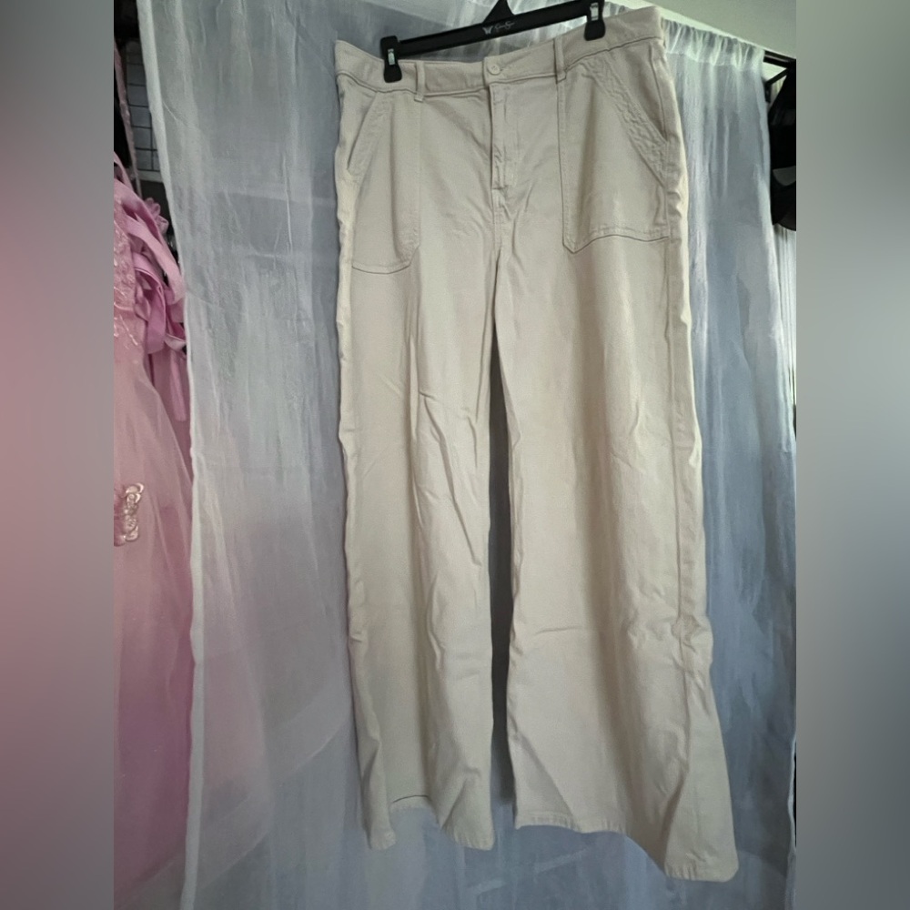AE baggy wide leg pant